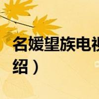 名媛望族电视剧国语版（名媛望族电视剧情介绍）