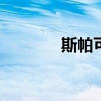 斯帕可（关于斯帕可的介绍）