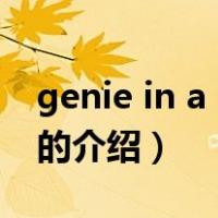 genie in a bottle（关于genie in a bottle的介绍）