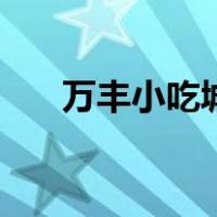 万丰小吃城（关于万丰小吃城的介绍）