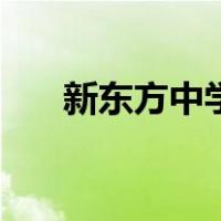 新东方中学（关于新东方中学的介绍）