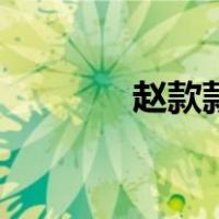 赵款款（关于赵款款的介绍）