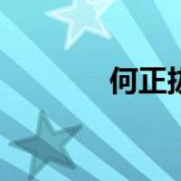 何正拔（关于何正拔的介绍）