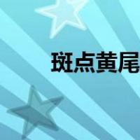 斑点黄尾鱼食谱（斑点黄尾鱼食谱）