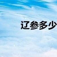 辽参多少钱一斤（辽参多少钱一斤）