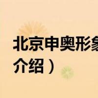 北京申奥形象大使（关于北京申奥形象大使的介绍）