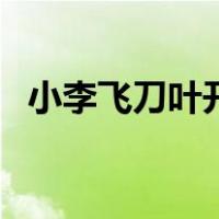 小李飞刀叶开（关于小李飞刀叶开的介绍）