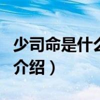 少司命是什么意思（关于少司命是什么意思的介绍）