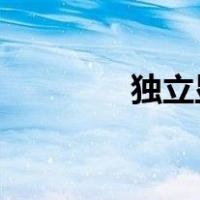 独立显卡好还是集成显卡好