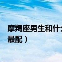 摩羯座男生和什么星座女生比较搭（摩羯座男生和什么星座最配）
