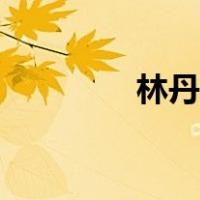 林丹纹身含义（林丹纹身）