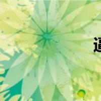 逼真的意思（逼真）