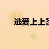 逃爱上上签（关于逃爱上上签的介绍）