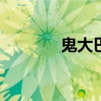 鬼大巴（关于鬼大巴的介绍）