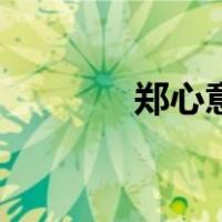 郑心意（关于郑心意的介绍）