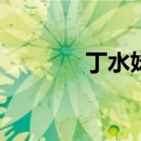 丁水妹（关于丁水妹的介绍）