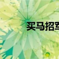 买马招军（关于买马招军的介绍）