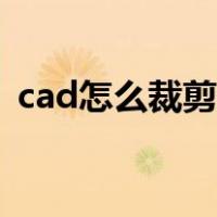 cad怎么裁剪图片圆形（cad怎么裁剪图片）