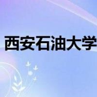 西安石油大学王牌专业（西安石油大学代码）