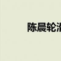 陈晨轮滑（关于陈晨轮滑的介绍）
