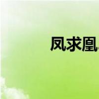 凤求凰2（关于凤求凰2的介绍）