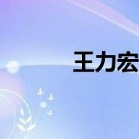王力宏吧百度贴吧（王力宏吧）
