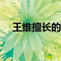王维擅长的领域有（王维擅长的诗体是）