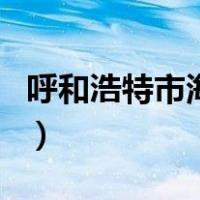 呼和浩特市海亮（关于呼和浩特市海亮的介绍）