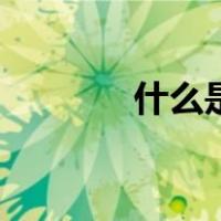 什么是断蚁（断蚁什么意思）