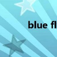 blue fly（关于blue fly的介绍）
