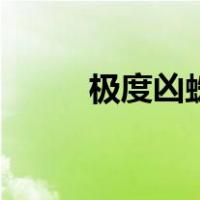 极度凶蛛（关于极度凶蛛的介绍）