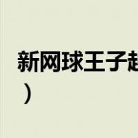 新网球王子越前回归日本队（山崎退网球王子）