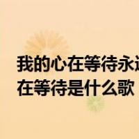 我的心在等待永远在等待是什么歌粤语（我的心在等待永远在等待是什么歌）