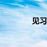 见习生最新政策（见习生）