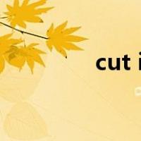 cut into pieces（cut in）
