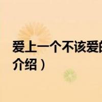 爱上一个不该爱的人歌词（关于爱上一个不该爱的人歌词的介绍）