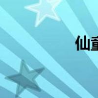 仙童八巨头（仙童官网）