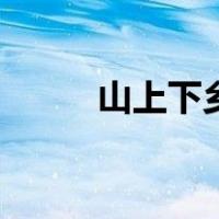山上下乡（关于山上下乡的介绍）