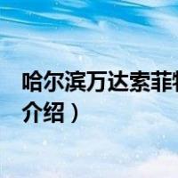 哈尔滨万达索菲特大酒店（关于哈尔滨万达索菲特大酒店的介绍）