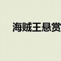 海贼王悬赏金众人反应（海贼王悬赏金）