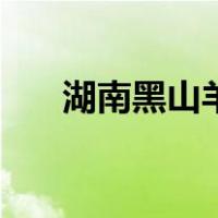 湖南黑山羊（关于湖南黑山羊的介绍）