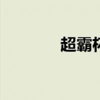 超霸杯（关于超霸杯的介绍）