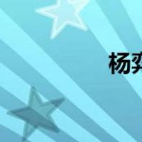 杨弈（关于杨弈的介绍）