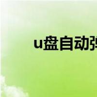 u盘自动弹出怎么办（u盘自动弹出）