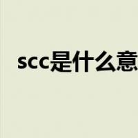 scc是什么意思网络用语（scc是什么意思）