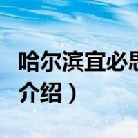 哈尔滨宜必思酒店（关于哈尔滨宜必思酒店的介绍）