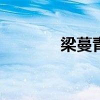 梁蔓青（关于梁蔓青的介绍）