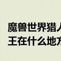 魔兽世界猎人虎王在哪（魔兽世界荆棘谷的虎王在什么地方）