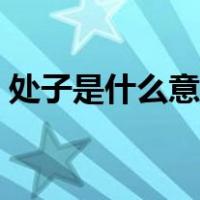 处子是什么意思代表什么（处子是什么意思）