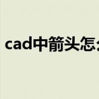 cad中箭头怎么画出来（CAD中箭头怎么画）